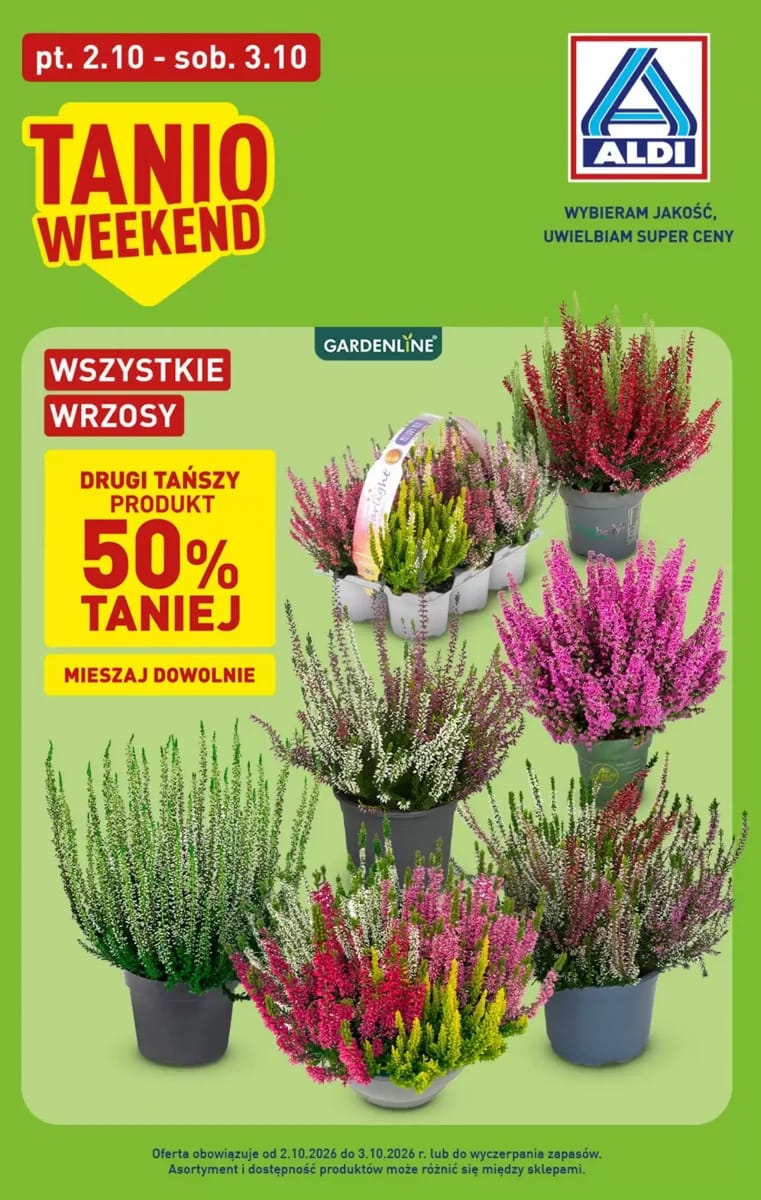 Gazetka Aldi, strona 1 z 1
