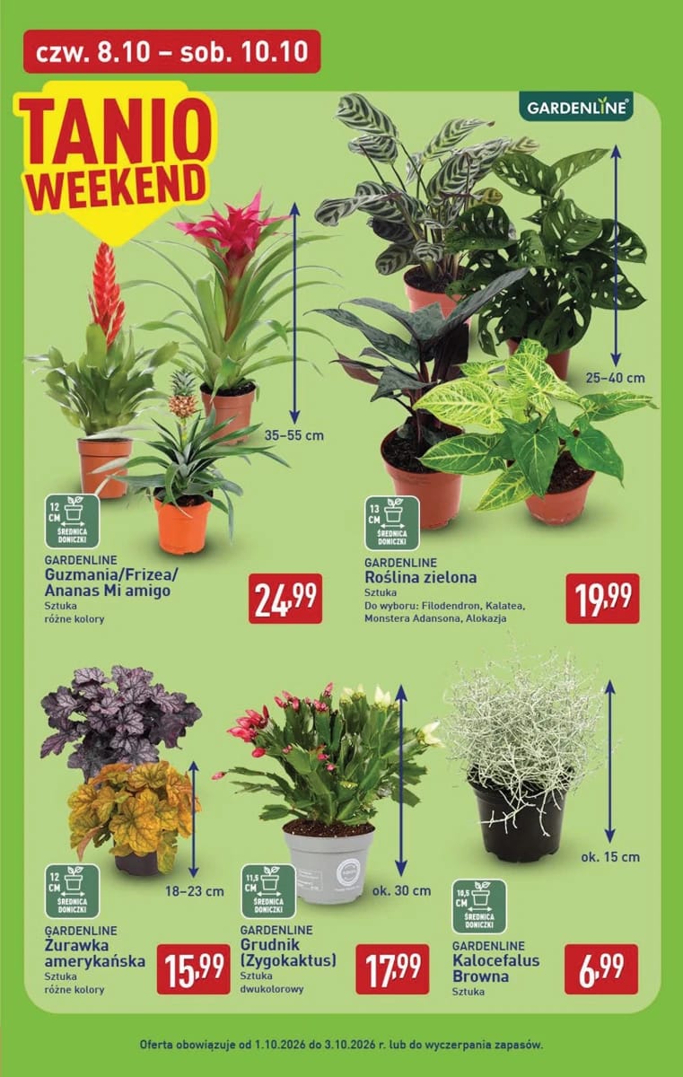Gazetka Aldi, strona 39 z 51