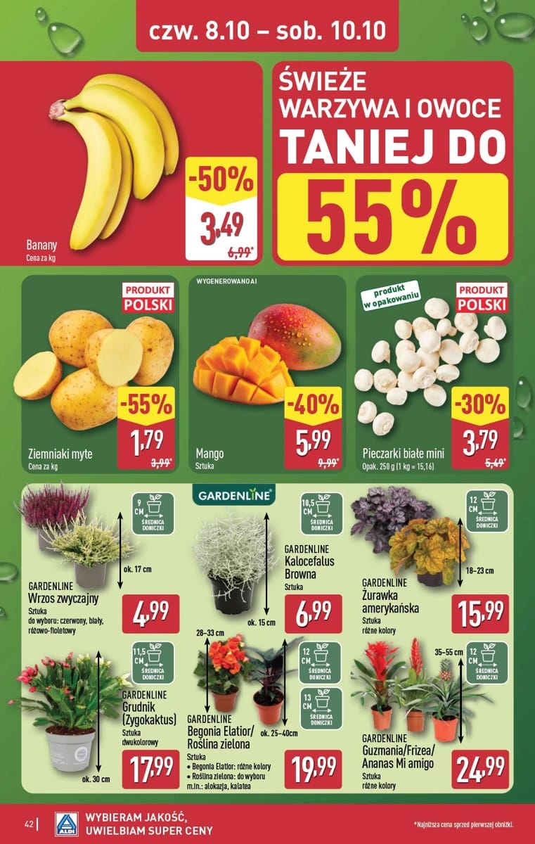 Gazetka Aldi, strona 42 z 51
