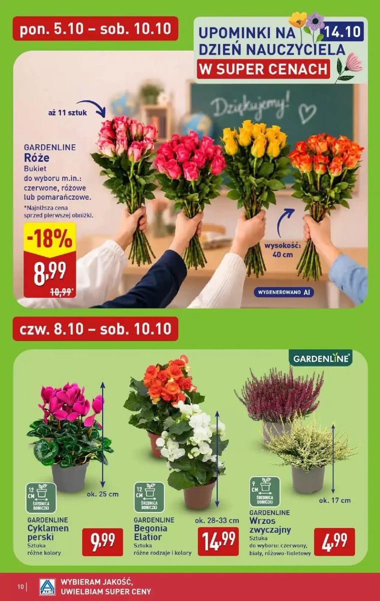 Gazetka Aldi, strona 10 z 15