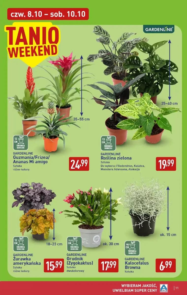 Gazetka Aldi, strona 11 z 15