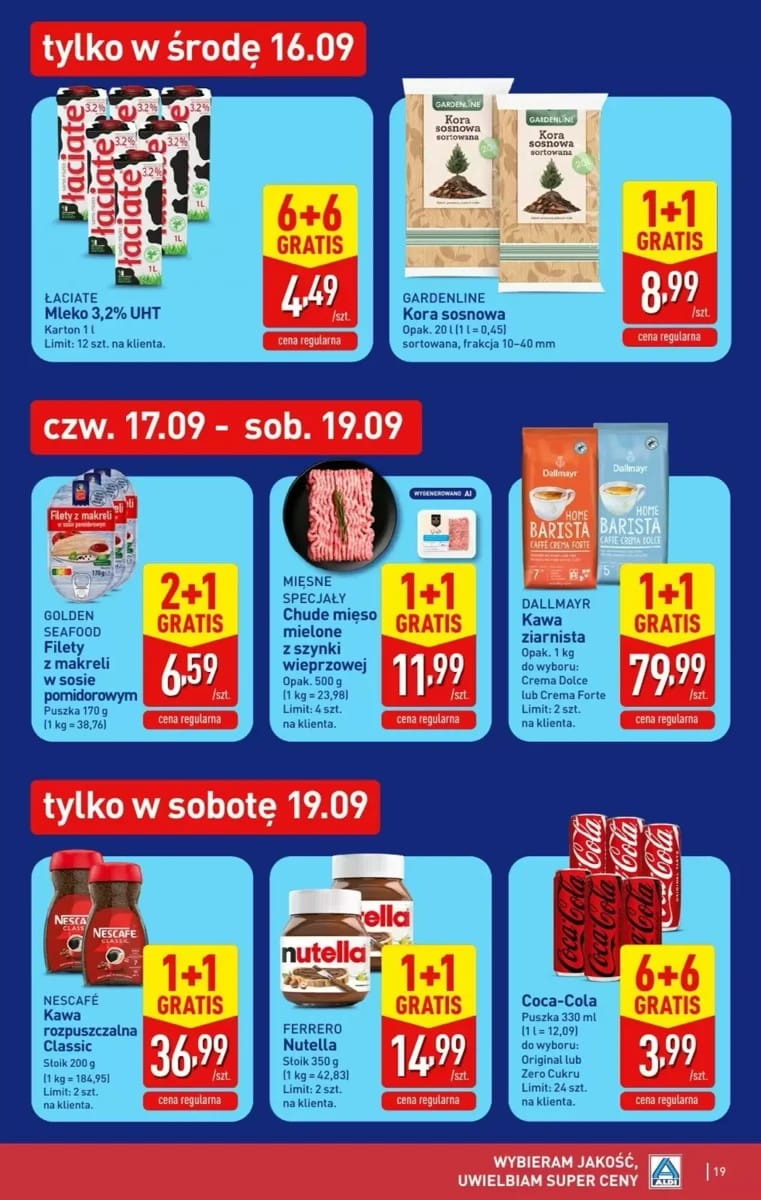Gazetka Aldi, strona 19 z 49