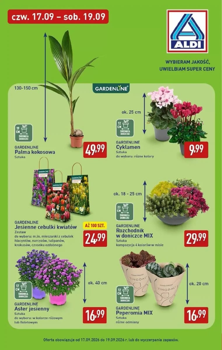 Gazetka Aldi, strona 31 z 49