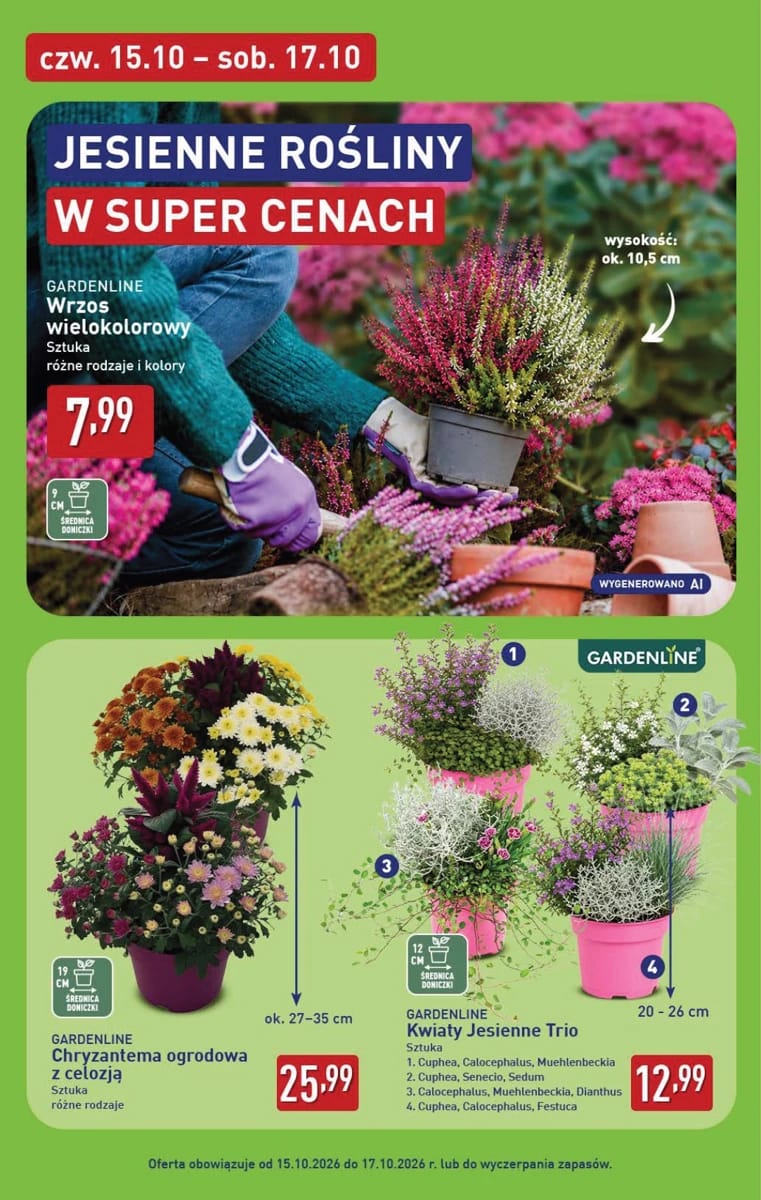 Gazetka Aldi, strona 6 z 14