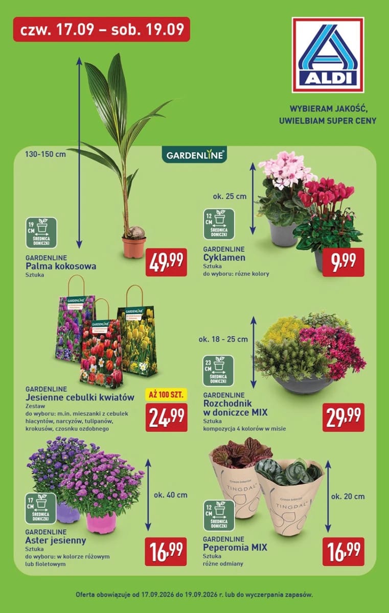 Gazetka Aldi, strona 9 z 16
