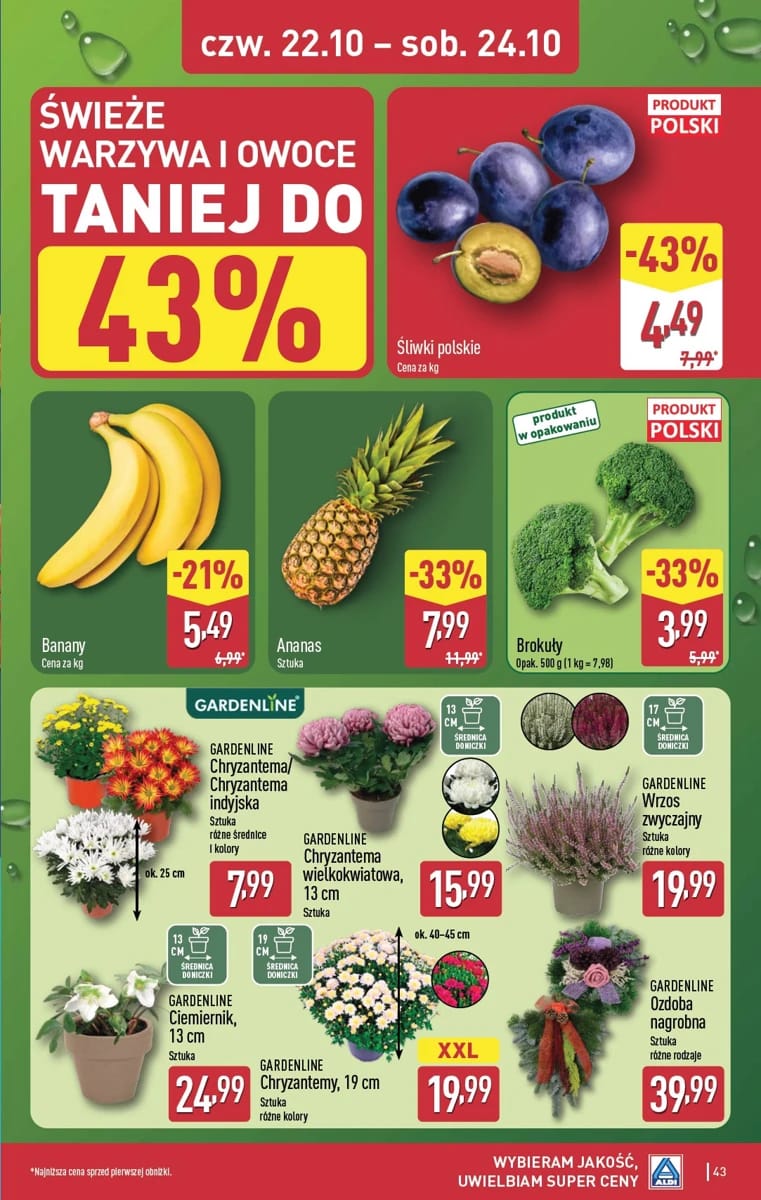 Gazetka Aldi, strona 43 z 54
