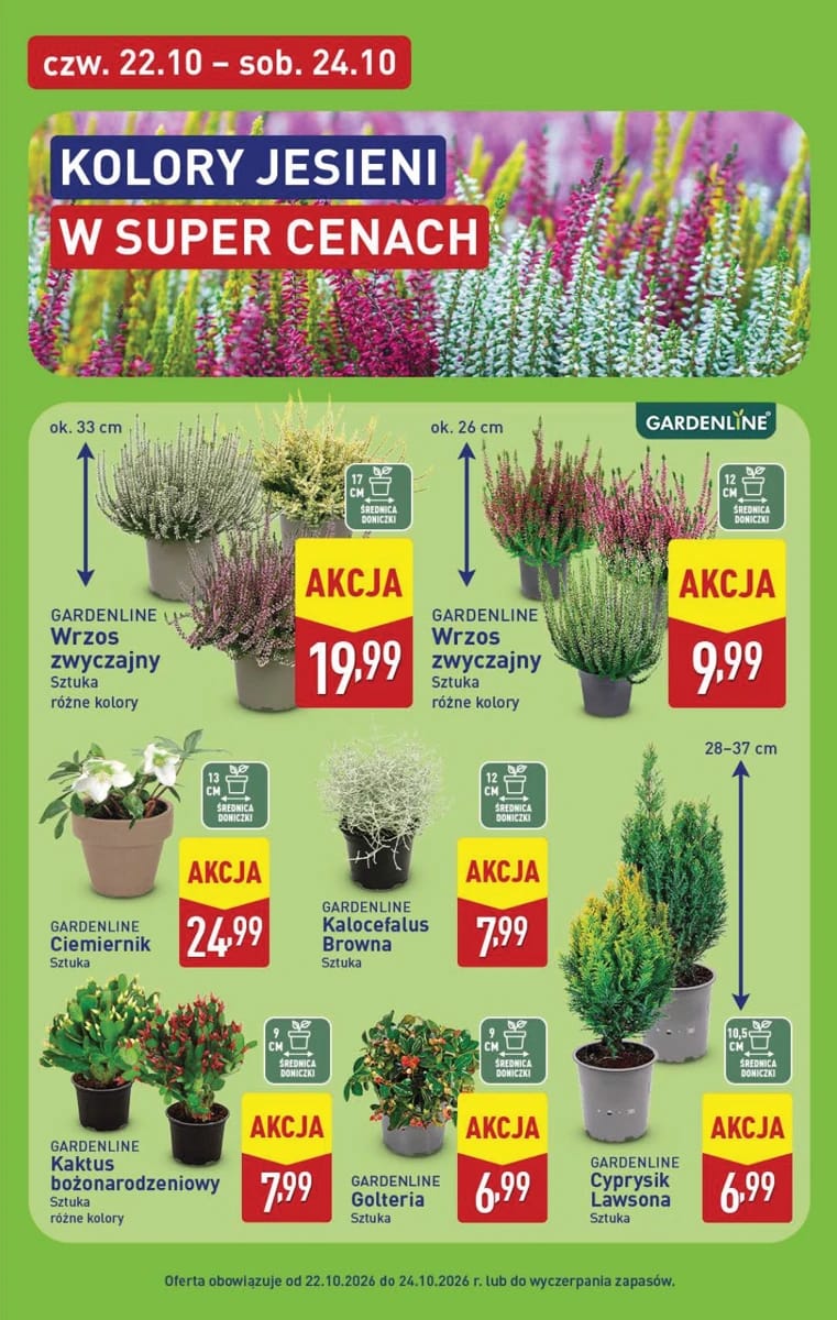 Gazetka Aldi, strona 45 z 54