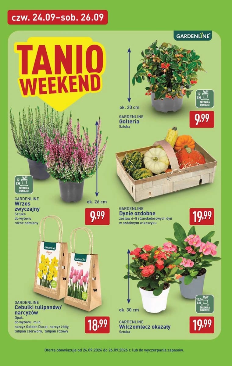 Gazetka Aldi, strona 38 z 48