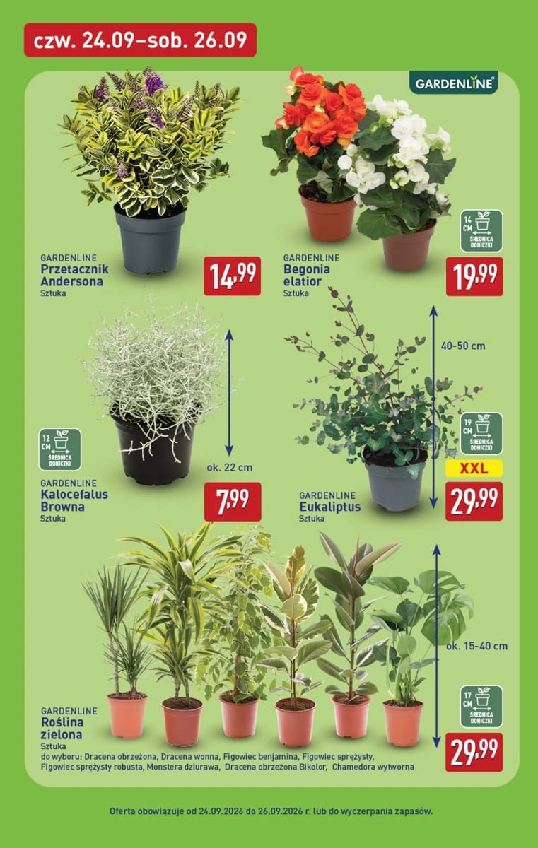 Gazetka Aldi, strona 7 z 13