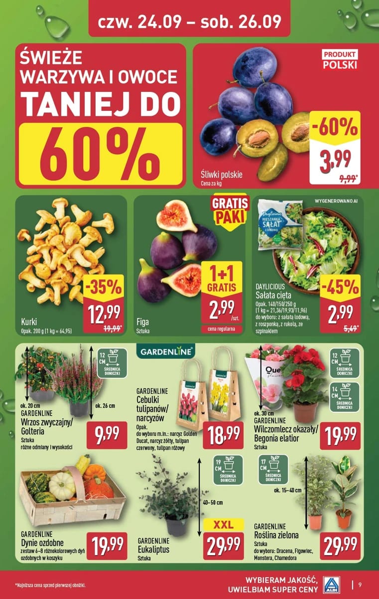 Gazetka Aldi, strona 9 z 13