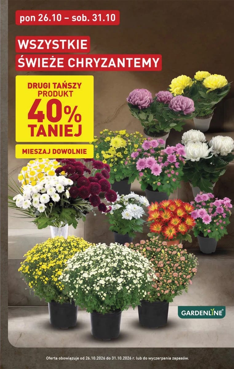 Gazetka Aldi, strona 3 z 51