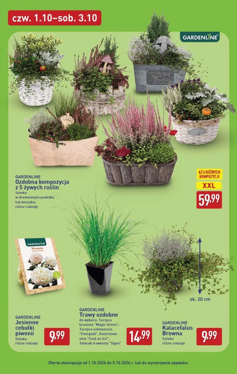 Gazetka Aldi, strona 43 z 52