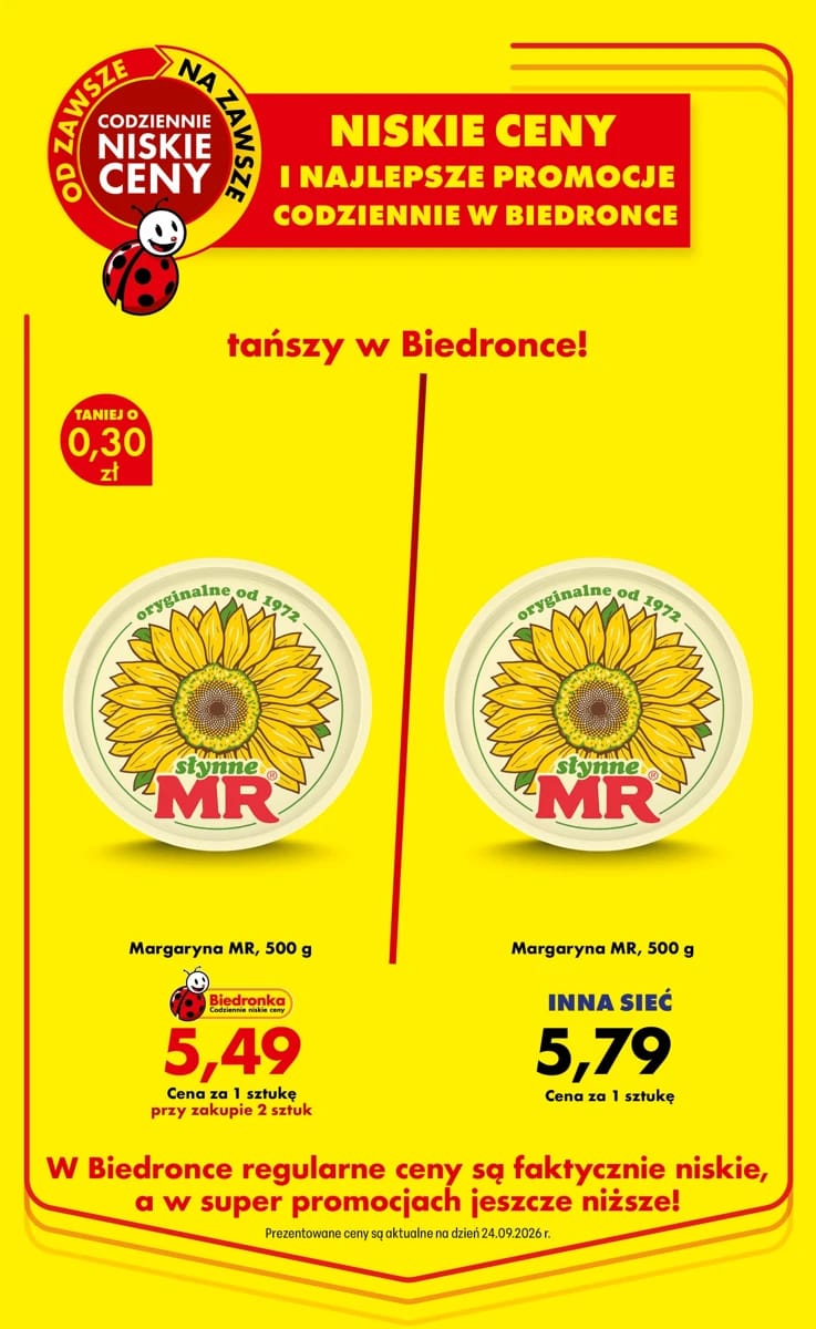 Gazetka Biedronka, strona 99 z 101
