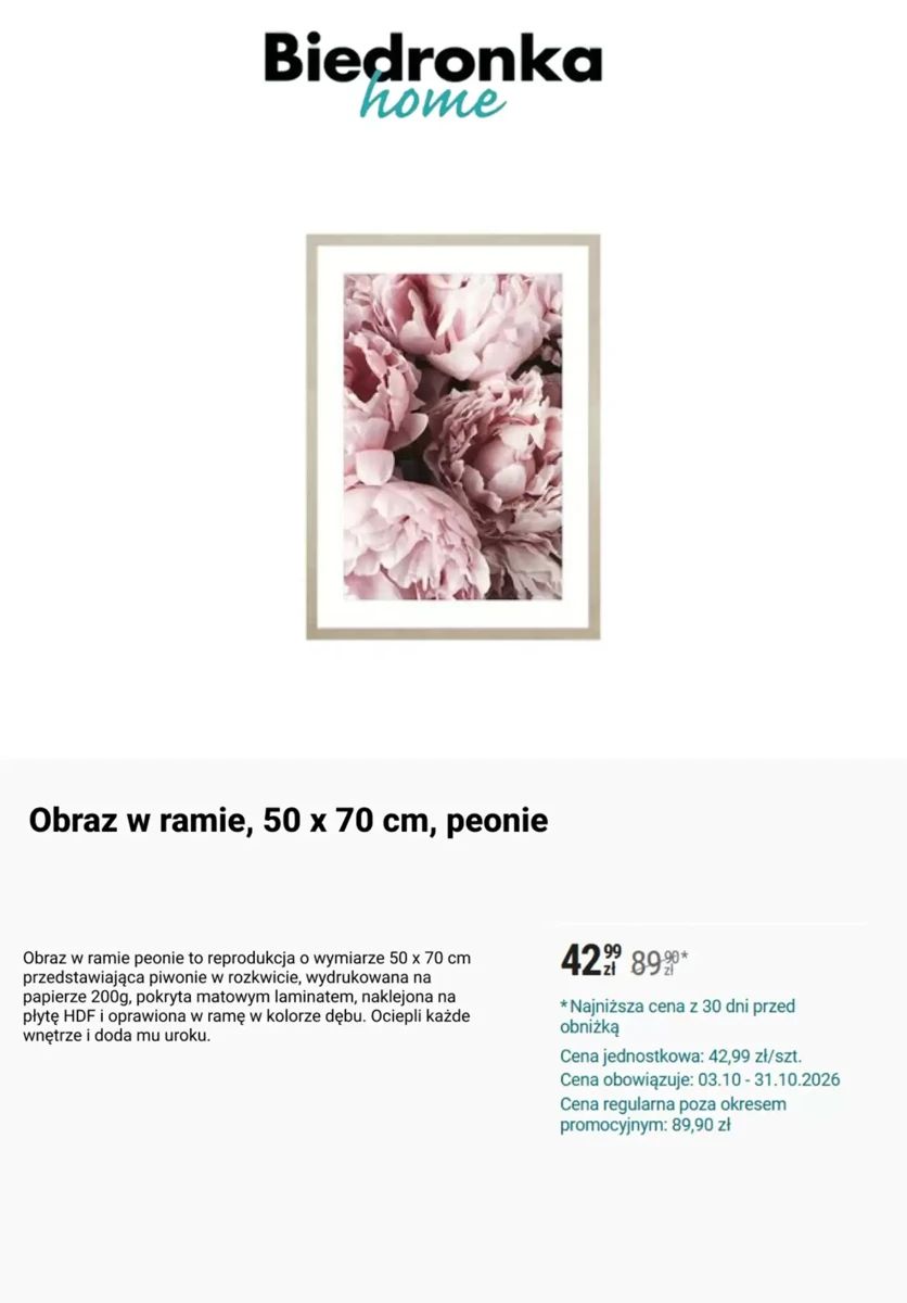 Gazetka Biedronka, strona 9 z 10