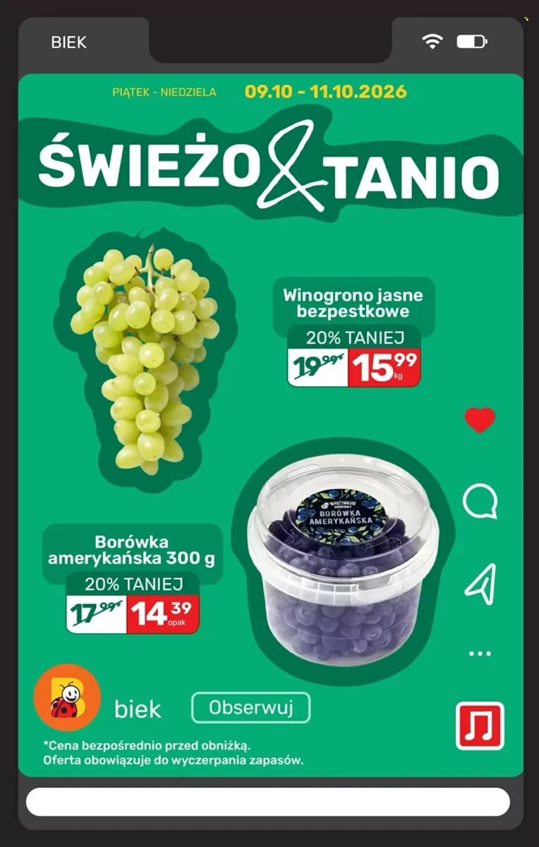 Gazetka Biedronka, strona 17 z 30