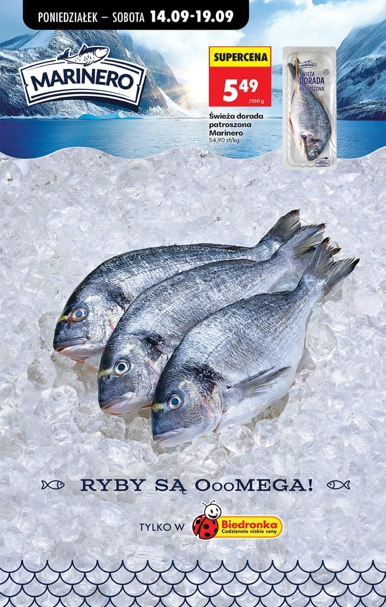 Gazetka Biedronka, strona 44 z 98
