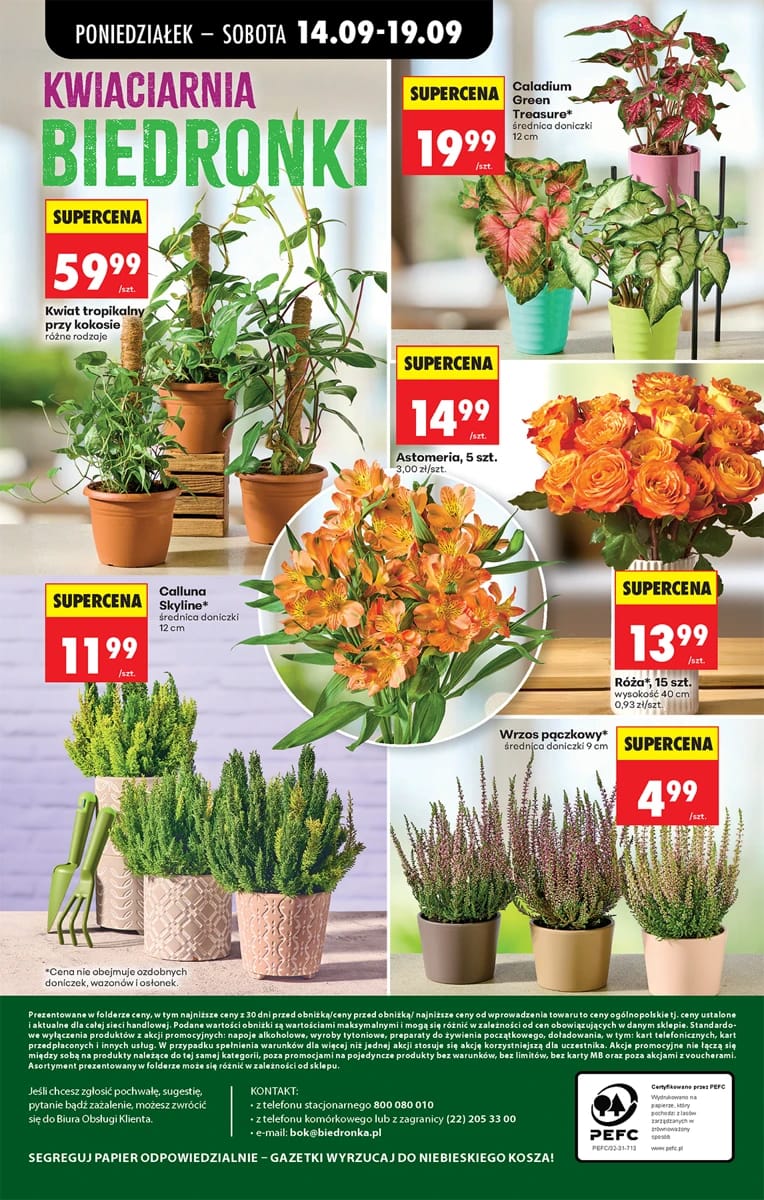 Gazetka Biedronka, strona 98 z 98