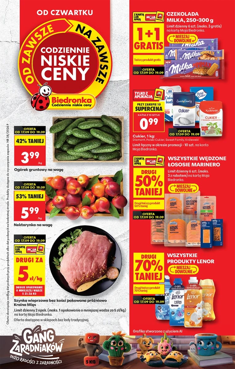 Gazetka Biedronka, strona 1 z 84