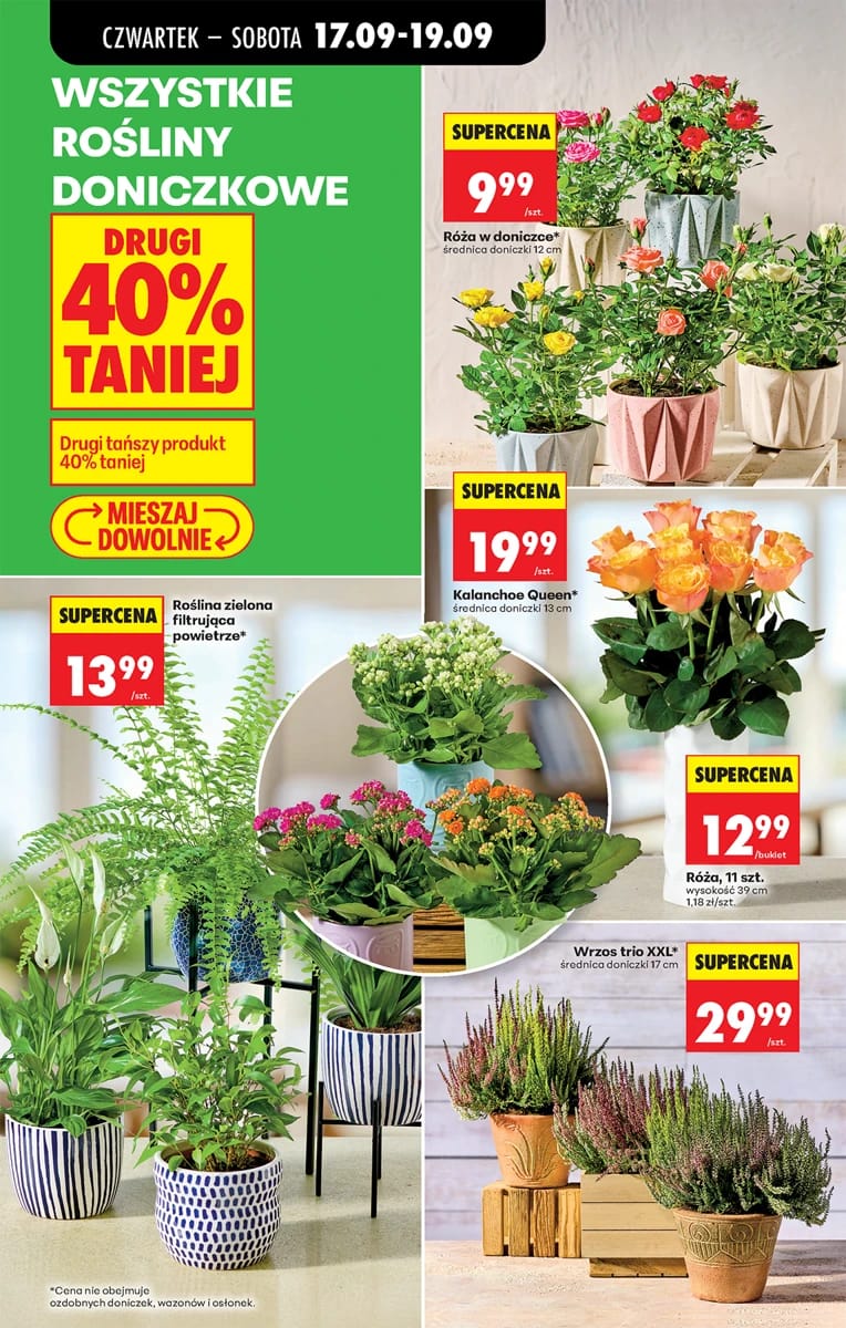 Gazetka Biedronka, strona 77 z 84