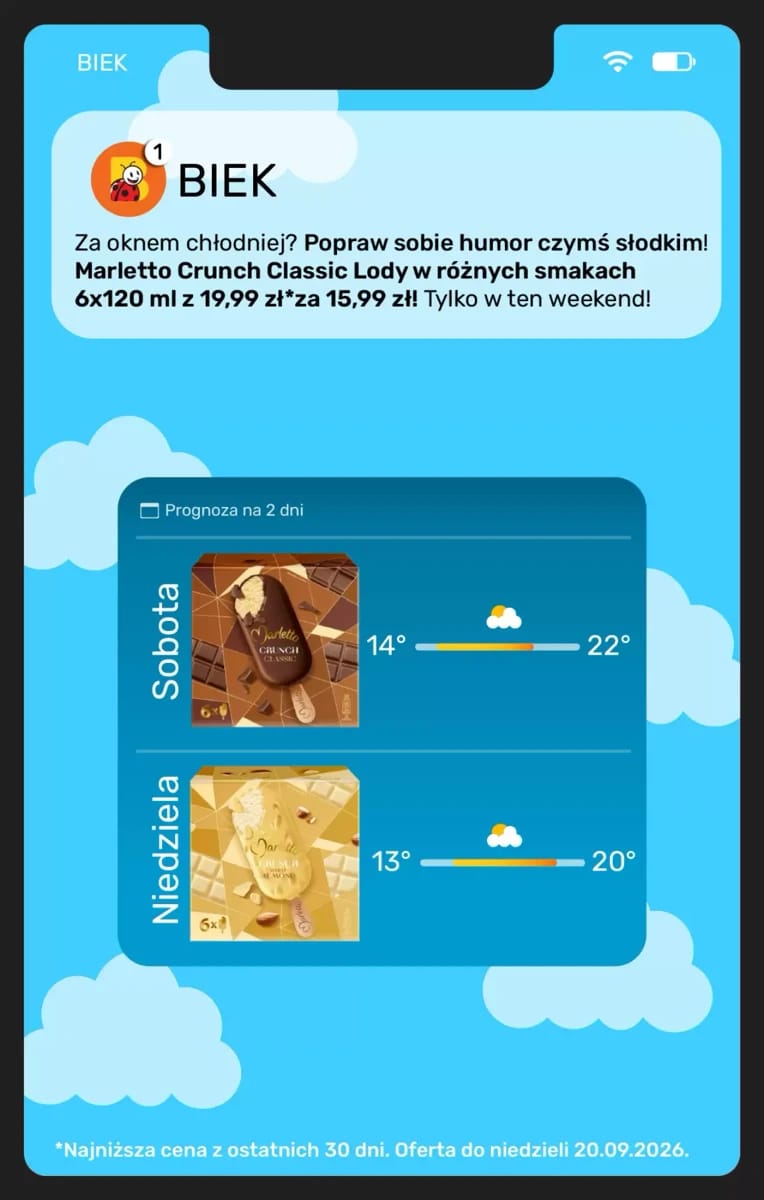 Gazetka Biedronka, strona 17 z 25