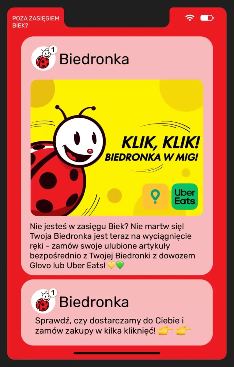 Gazetka Biedronka, strona 21 z 25
