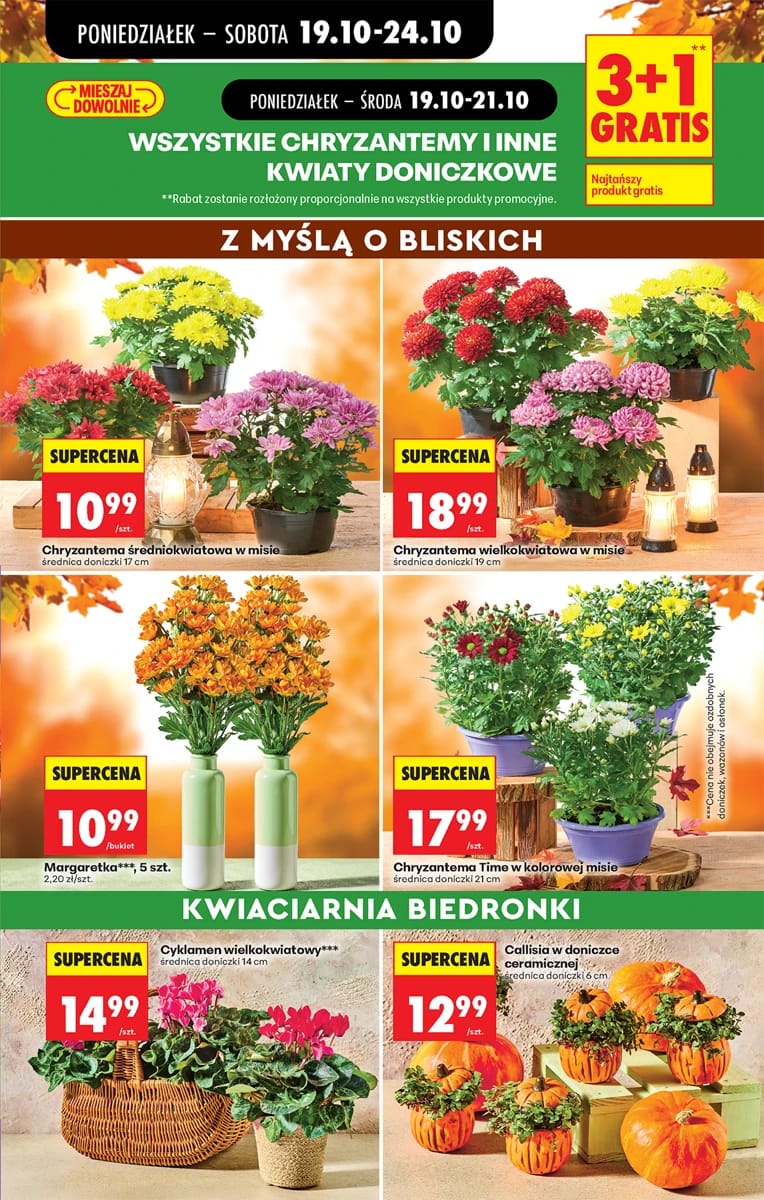 Gazetka Biedronka, strona 27 z 96
