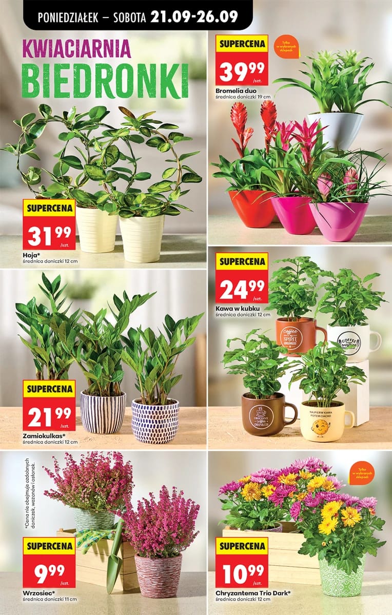 Gazetka Biedronka, strona 100 z 102