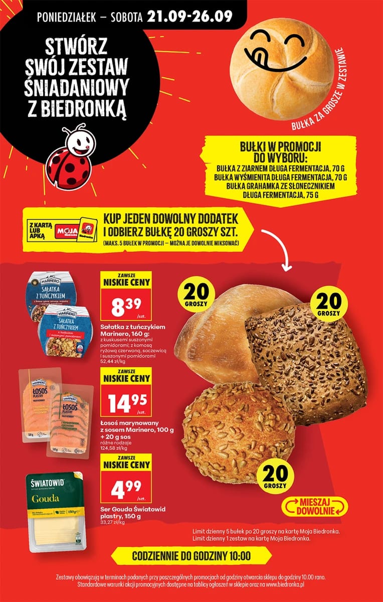 Gazetka Biedronka, strona 13 z 102