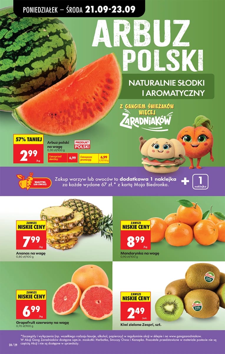 Gazetka Biedronka, strona 38 z 102