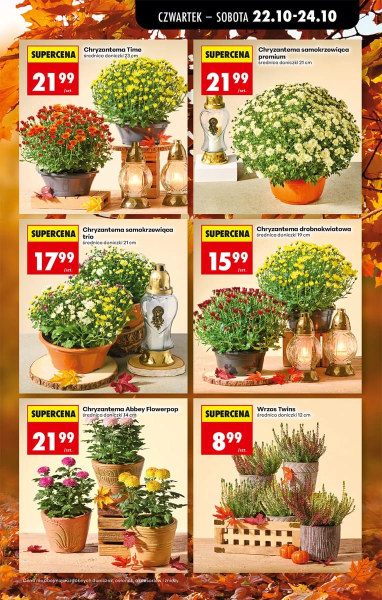 Gazetka Biedronka, strona 21 z 82