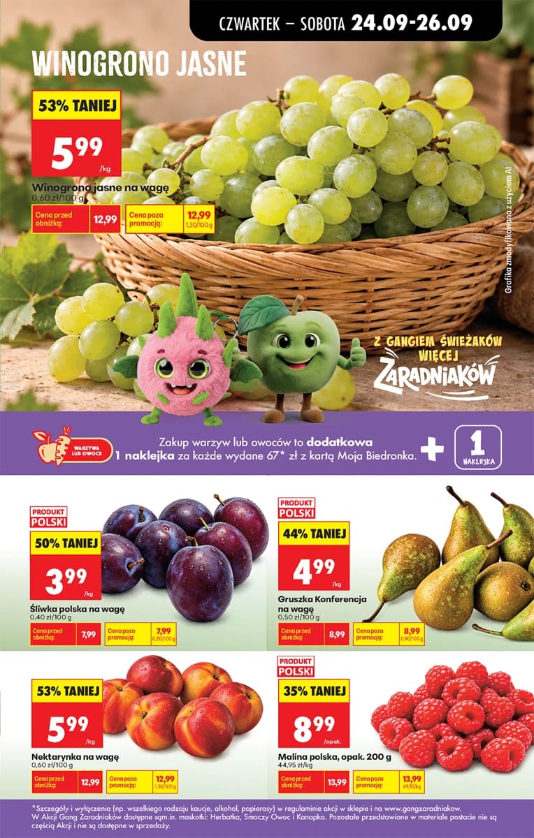 Gazetka Biedronka, strona 33 z 91
