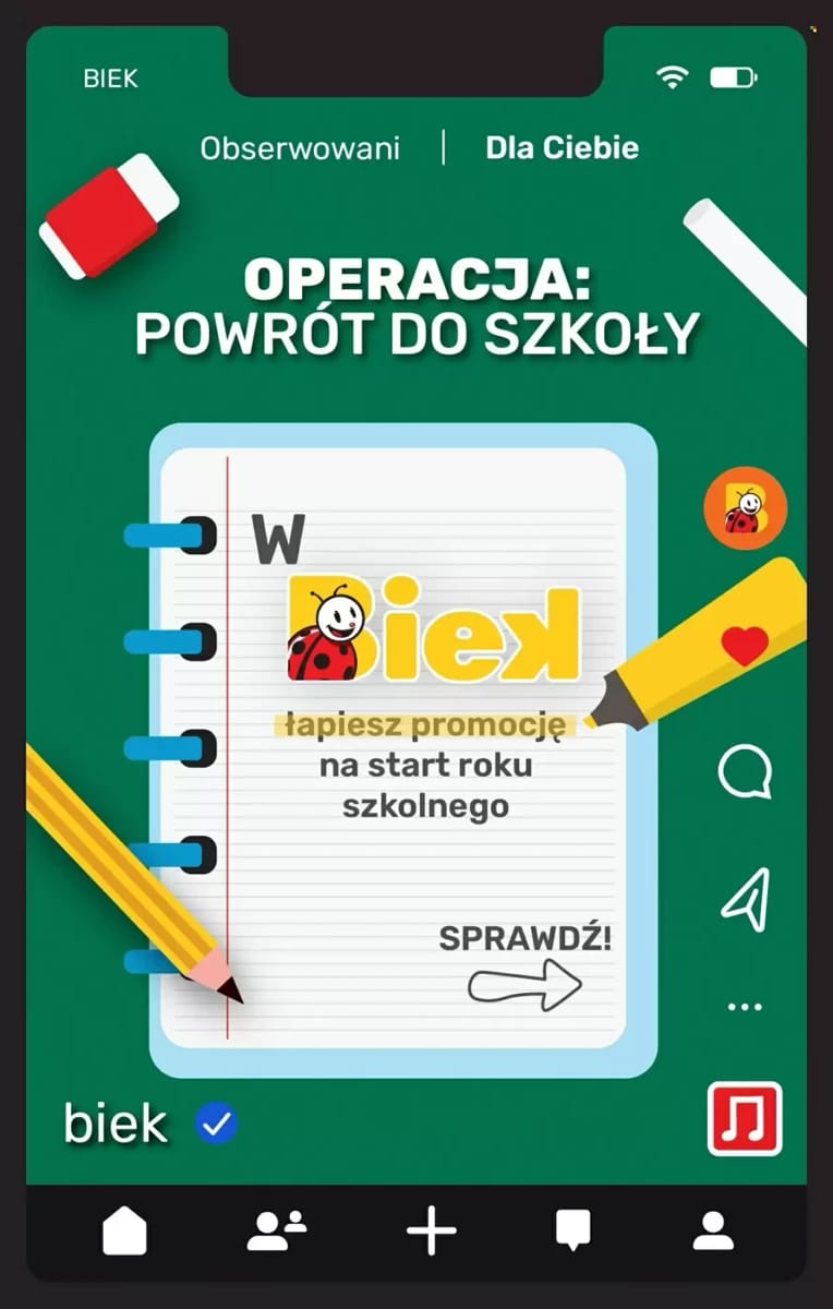 Gazetka Biedronka, strona 17 z 36