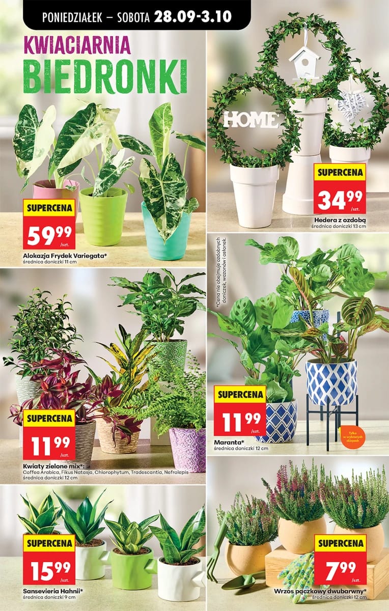Gazetka Biedronka, strona 40 z 106