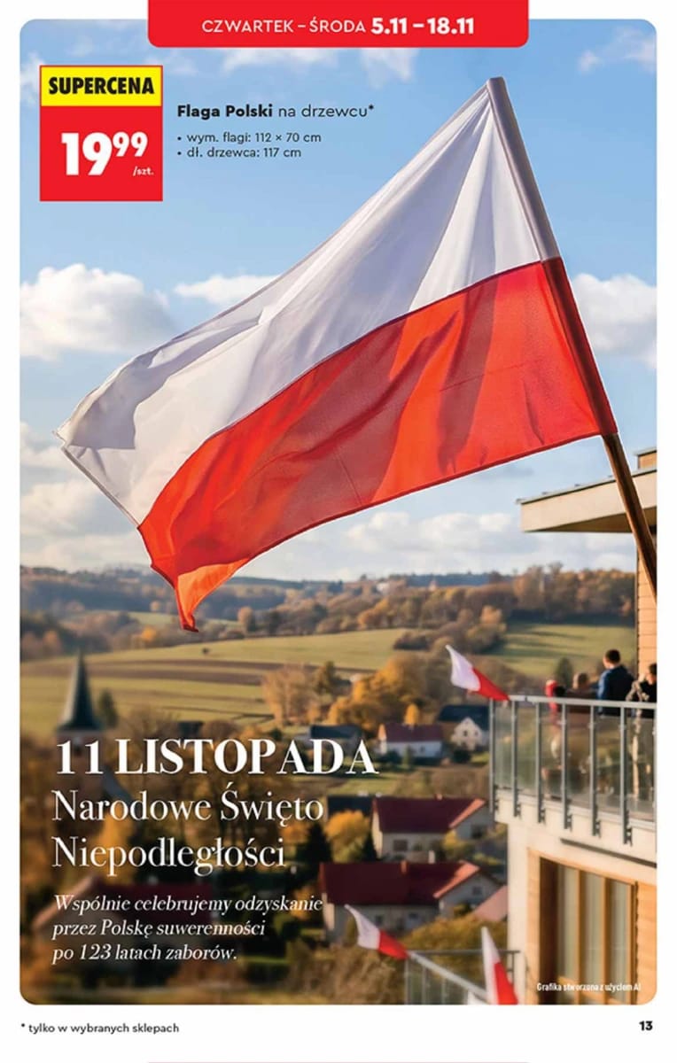 Gazetka Biedronka, strona 13 z 36