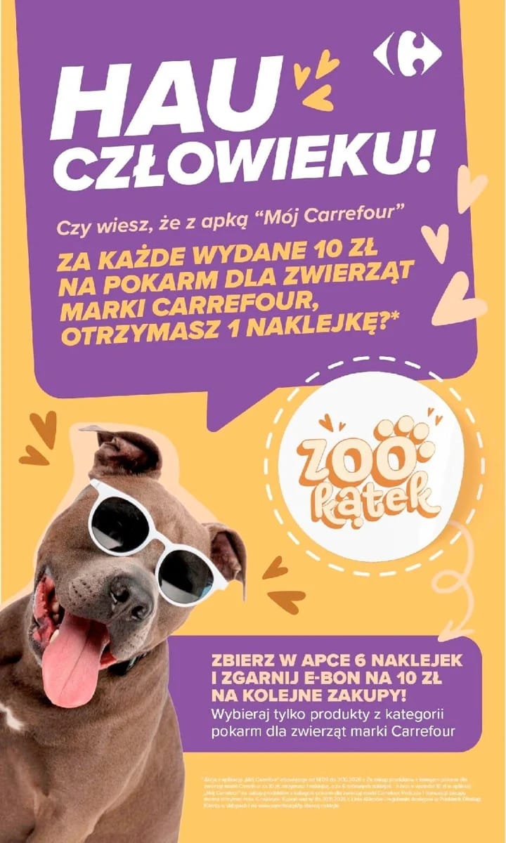 Gazetka Carrefour, strona 10 z 15