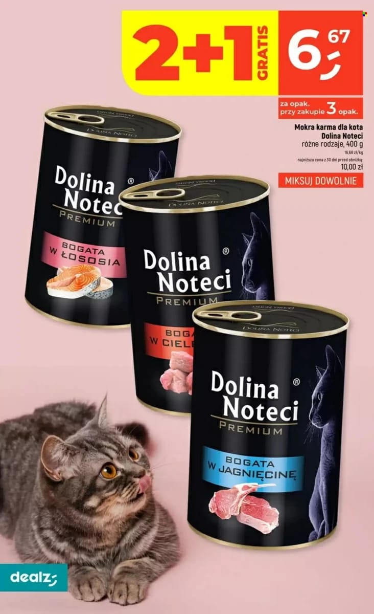 Gazetka Dealz, strona 42 z 62