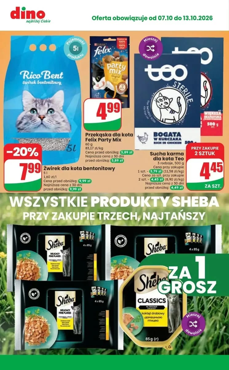 Gazetka Dino, strona 10 z 10