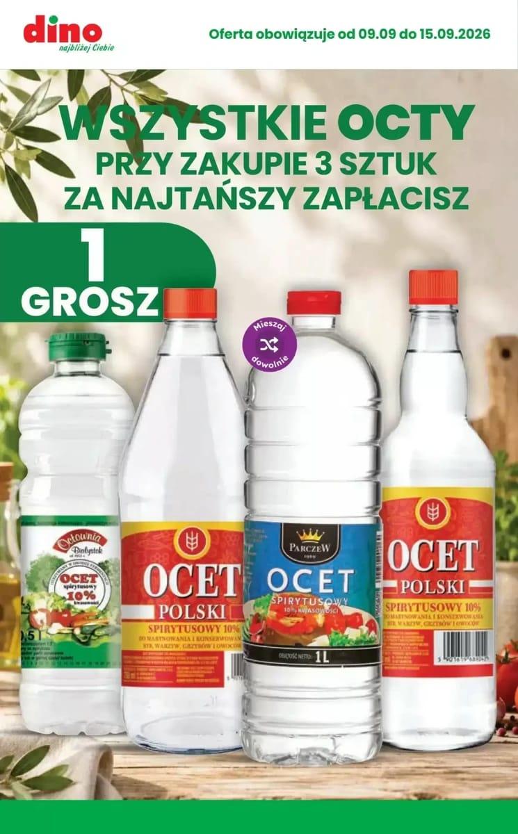 Gazetka Dino, strona 2 z 10