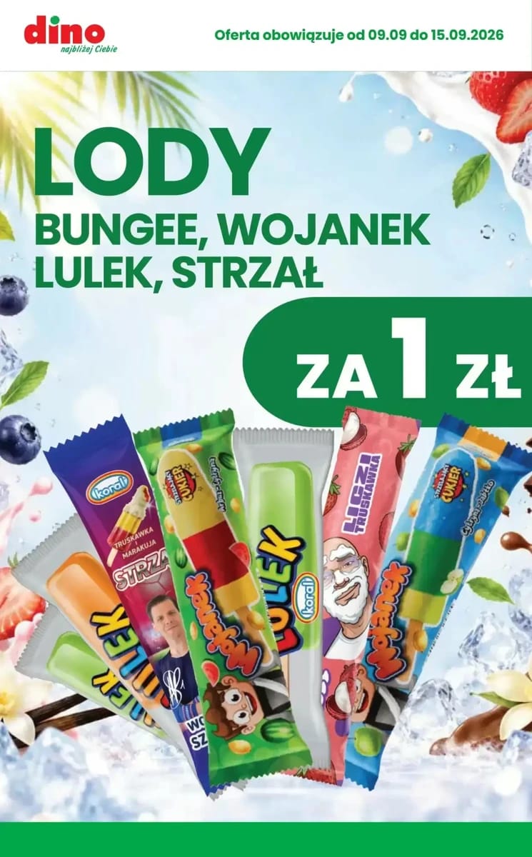 Gazetka Dino, strona 3 z 10
