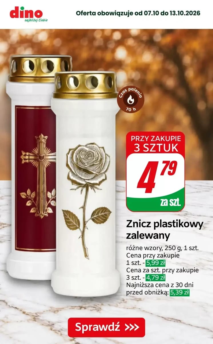 Gazetka Dino, strona 7 z 10