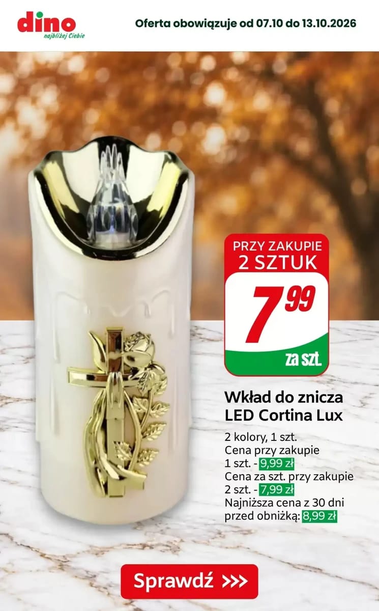 Gazetka Dino, strona 9 z 10