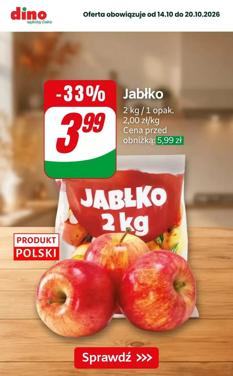 Gazetka Dino, strona 10 z 10