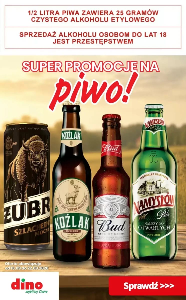 Gazetka Dino, strona 1 z 10