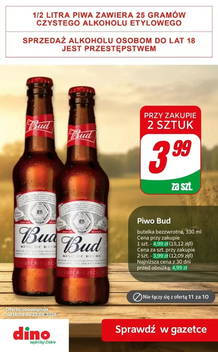 Gazetka Dino, strona 10 z 10