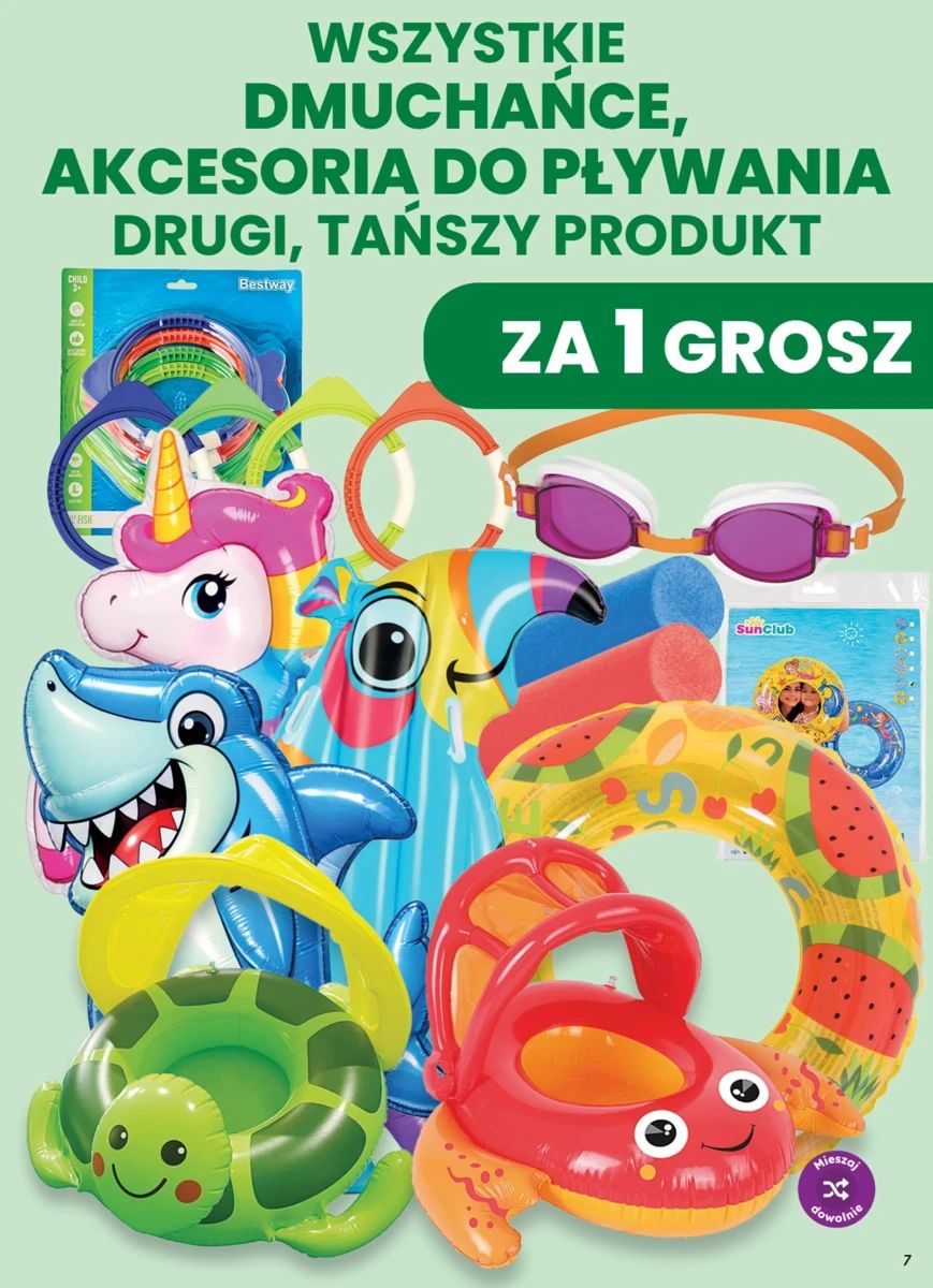 Gazetka Dino, strona 7 z 8