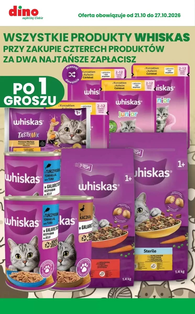 Gazetka Dino, strona 5 z 10