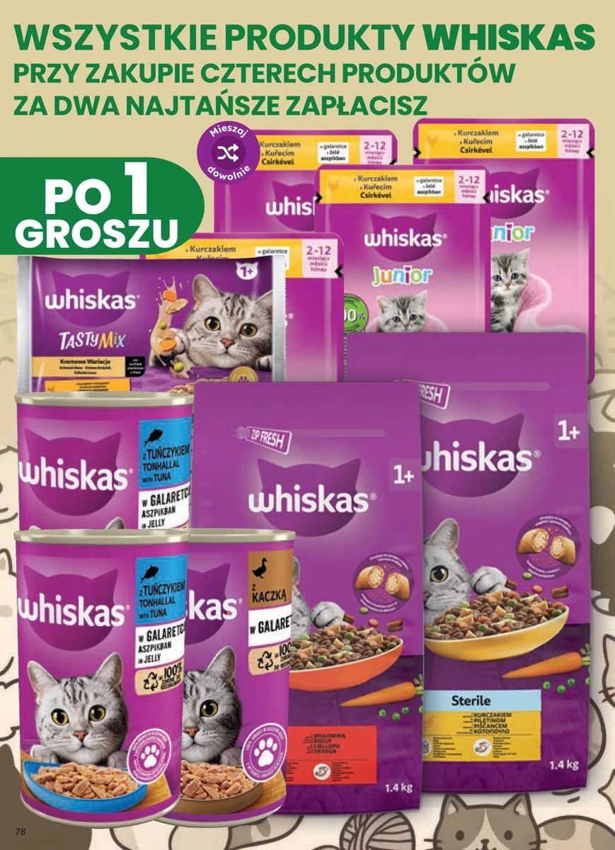 Gazetka Dino, strona 78 z 91