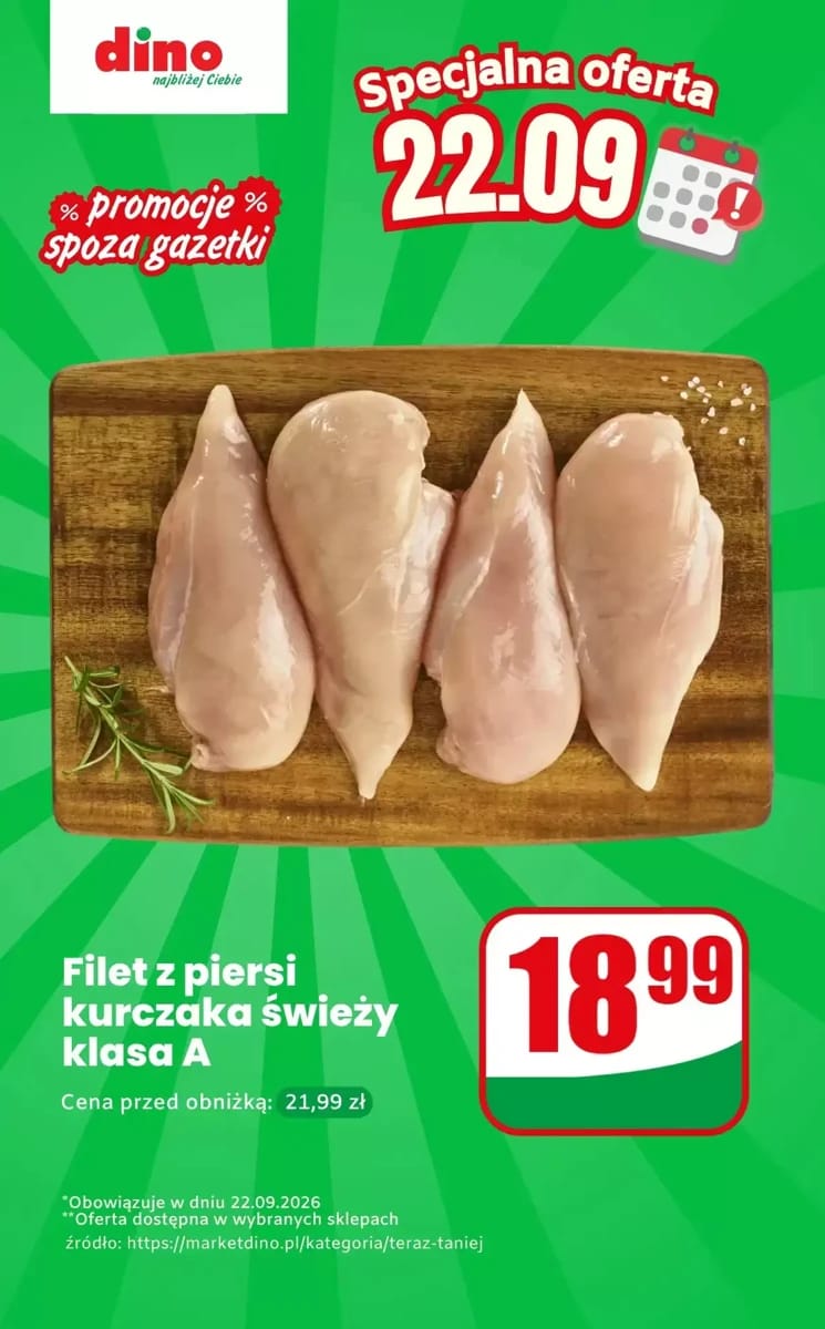 Gazetka Dino, strona 1 z 1