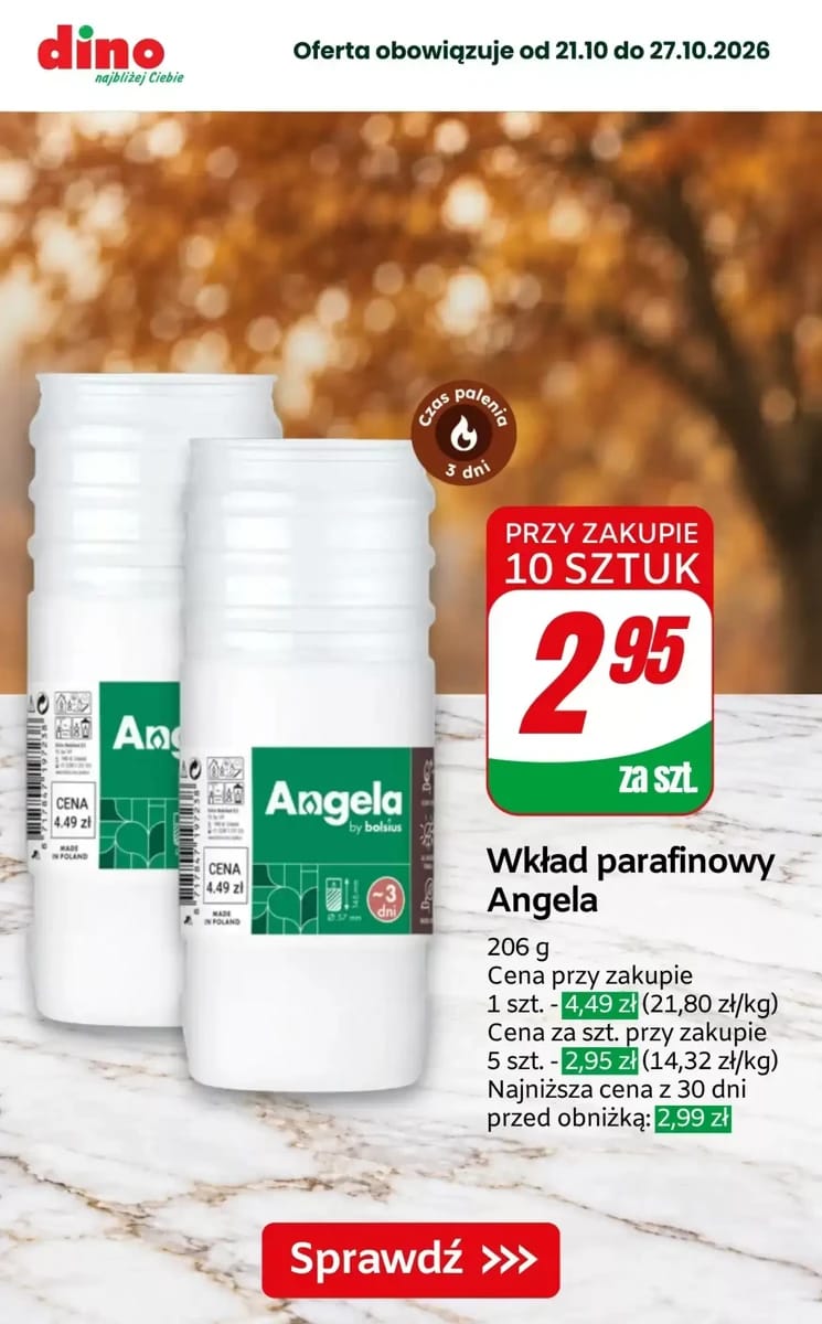 Gazetka Dino, strona 10 z 10