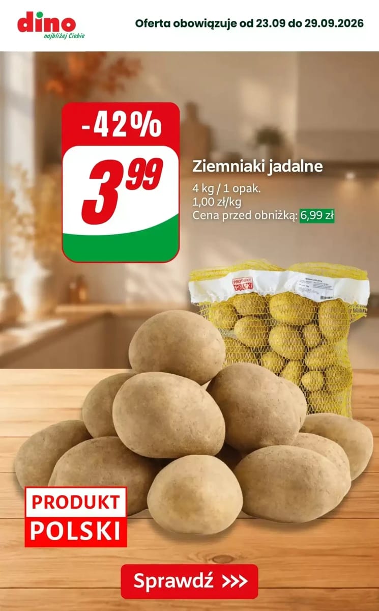 Gazetka Dino, strona 4 z 10
